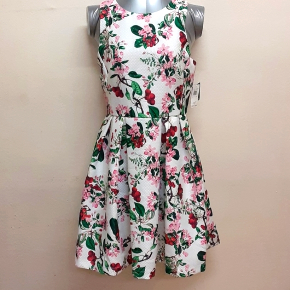 Floral Sleeveless Dress - White and Pink